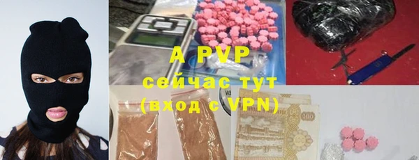 молекула духа Вязьма