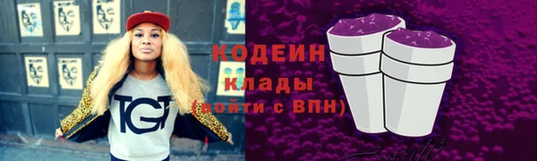 молекула духа Вязьма