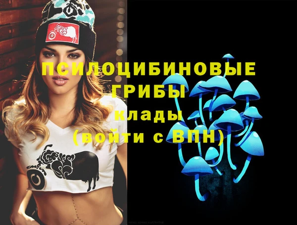 молекула духа Вязьма
