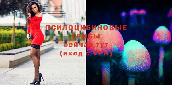 марки nbome Вяземский