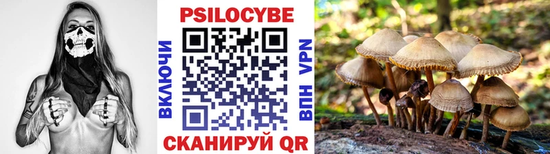 Купить  Ставрополь  Псилоцибиновые грибы Psilocybe 